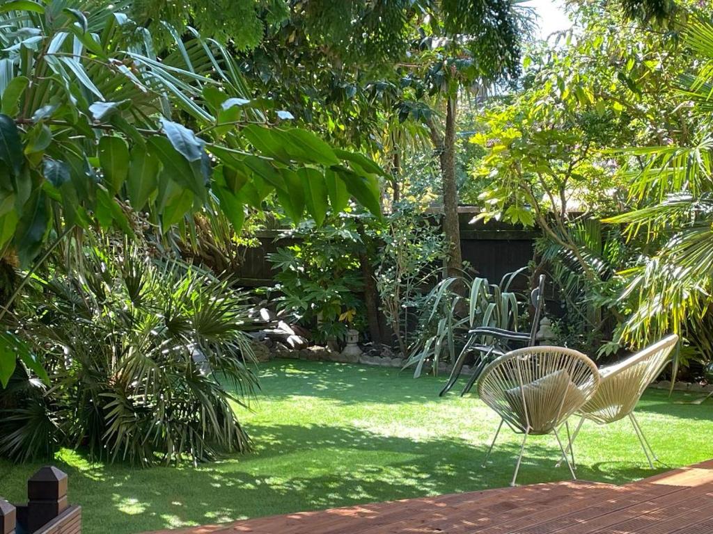 Decorarea în stil exotic, presupune vegetație exotică până la nuanțe vibrante de verde și albastru 